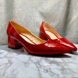 NWOT Zara Pointy Toe Block Heel Pumps